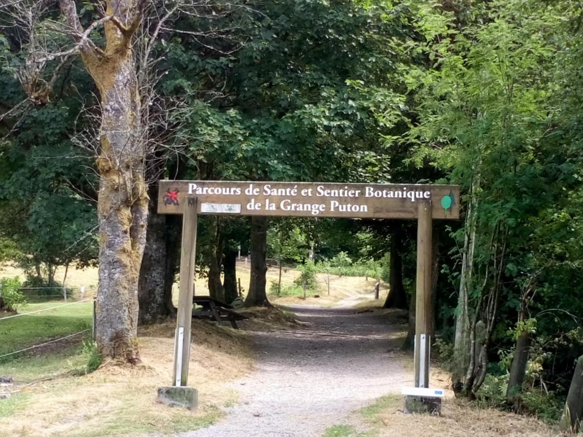Gite Des Hortensias Raon-aux-Bois Exterior foto