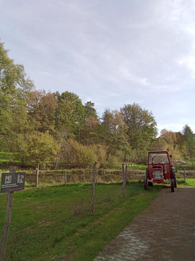 Gite Des Hortensias Raon-aux-Bois Exterior foto