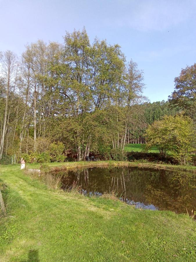 Gite Des Hortensias Raon-aux-Bois Exterior foto