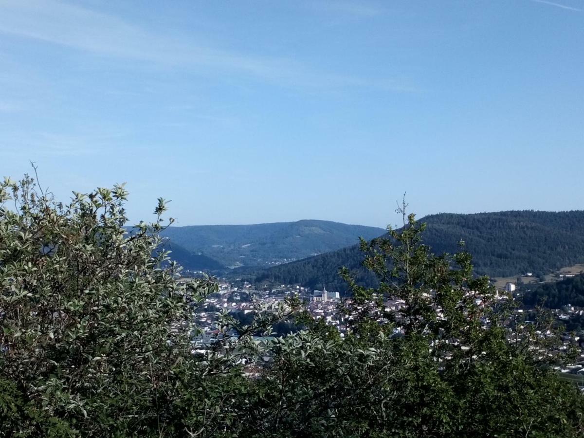 Gite Des Hortensias Raon-aux-Bois Exterior foto